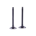 Supape TT AGRO MOTO pentru motor pe benzină de 125cc, set de 2 buc.