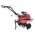 Motoblock benzina TT-900-ZX TATA (curea)