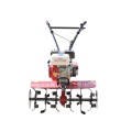Motoblock benzina TT-900-ZX TATA (curea)