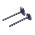 Supape TT AGRO MOTO pentru motor pe benzină de 150cc, set de 2 buc.
