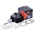 Piston (CPG) 69 mm TTG pentru motor pe benzină CB-250СС, set: 12 unități