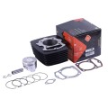 Piston (CPG) 69 mm TTG pentru motor pe benzină CB-250СС, set: 12 unități