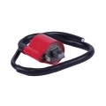 Катушка зажигания TTG на двигатель СВ-125/150, с надсвечником