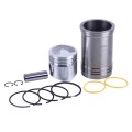 Grup piston 95.00 mm STD YBX pentru motor diesel 195N, GZ