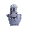 Ansamblu piston (CPG) - 4T YBX