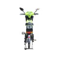 Электровелосипед TTG Modern EB-004 800W, Зеленый
