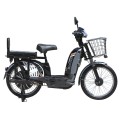 Bicicleta electrica TTG Modern EB-005 500W, Neagra