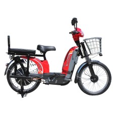 Bicicleta electrica TTG Modern EB-006 500W, Rosie