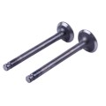 Supape TT AGRO MOTO pentru motor pe benzină 50CC4T, set de 2 buc.