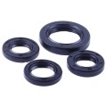 Garnituri de ulei, set: 4 buc. - 50CC4T