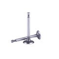 Supape TT AGRO MOTO pentru motor pe benzină 156F, set: 2 buc.