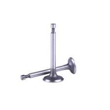 Клапаны TT AGRO MOTO на бензиновый двигатель 156F, к-т: 2 шт.