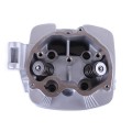 Ansamblu chiulasa TATA pentru tractor cu motor ZUBR