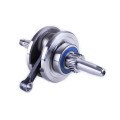 Ansamblu arbore cotit - CG150/200