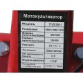 Мотоблок TT-ZX100-1 (редуктор) колесо 4,00x8, двигатель 170F (7 л.с.) (с верхним фильтром) - бензин
