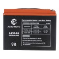 Аккумулятор свинцово-кислотный TT AGRO MOTO 52AH 12V 223х135х172 мм