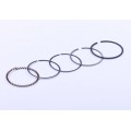 Inele 39,00 mm STD, set pentru 1 piston - 50SS - Delta/Alpha