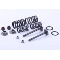 Supape + kit pentru 2 valve - Delta/Alpha