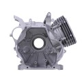 Bloc motor TATA pentru tractor cu mers pe jos 190F