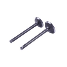 Supape TATA pentru moped Active/Delta/Alpha, set 2 buc.