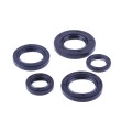 Simeringuri TT AGRO MOTO pentru scuter AD50, set: 5 buc.
