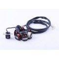 Armătură alternator (6 bobine) - Lead 90