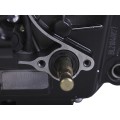 Двигатель CG300 ТАТА на мотоцикл, BL170 ММ (с водяным охлаждением, бензиновый)
