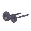 Клапаны ТАТА на бензиновый двигатель СG250