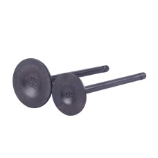 Клапаны ТАТА на бензиновый двигатель СG250