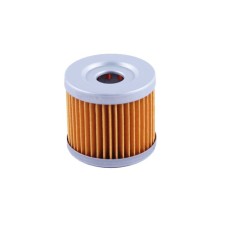 Element de filtru TATA pentru motor pe benzină CG300