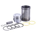 Grup piston 90.00 mm STD TATA pentru motor diesel 190N