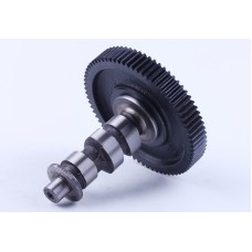 Arborele cu came + angrenajul Z-72 - 178F