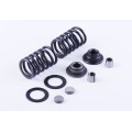 Set de supape (arcuri, plăci, fisuri ...) pentru 2 celule. - 186F