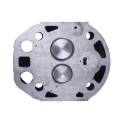 Ansamblu chiulasa TATA pentru motor diesel 180N