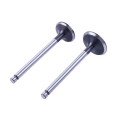 Supape TATA pentru motor diesel 190N, set: 2 buc.