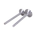 Supape YBX pentru motor diesel 190N, set: 2 buc.