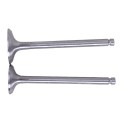 Supape YBX pentru motor diesel 190N, set: 2 buc.