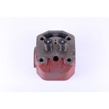 Ansamblu chiulasa TT AGRO MOTO 195N ZUBR pentru tractor cu motor (pentru duza 21 mm)