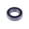 Rulment 6006-195N