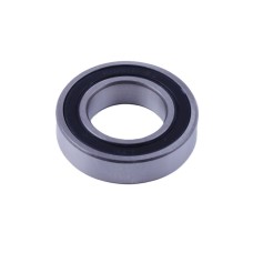 Rulment 6006-195N