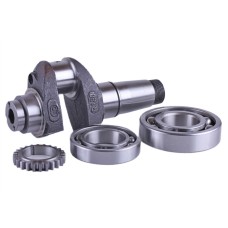 Ansamblu arbore cotit cu angrenaj TATA pentru motor diesel 175N