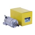 Demaror electric YBX pentru motor pe benzina SV-250SS