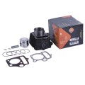Piston (CPG) TTG pentru motorul de 72 CC al mopedului Delta/Alpha, 47 mm, set: 12 unități