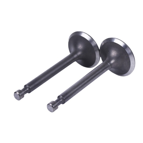 Клапаны TTG на бензиновый двигатель 168F, к-т: 2 шт. Клапаны TTG на бензиновый двигатель 168F, к-т: 2 шт.