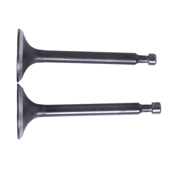 Клапаны TTG на бензиновый двигатель 168F, к-т: 2 шт. Клапаны TTG на бензиновый двигатель 168F, к-т: 2 шт.