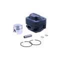Piston (CPG) 44 mm TATA pentru mașini de tuns iarba, set: 7 buc