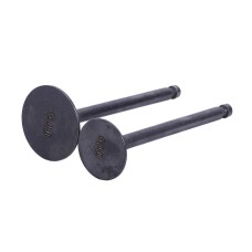Supape TTG pentru motor diesel 186F, set: 2 buc.