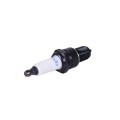 Свеча F6TC LG на бензиновые двигатели 168F/177F/188F