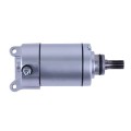 Demaror electric TTG pentru motor pe benzină SV-250SS