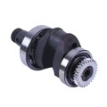 Ansamblu arbore cotit TTG pentru motor diesel 190N, cu rulmenti 2 buc. si angrenaje